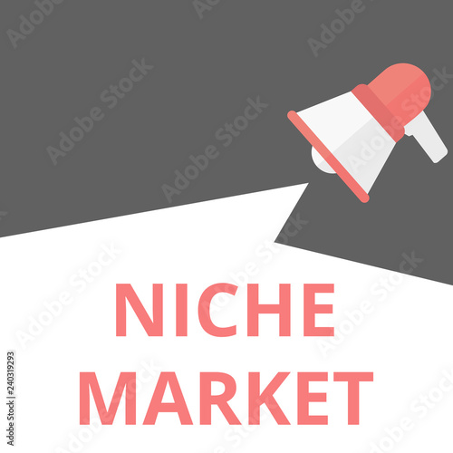 Text sign showing Niche Market.