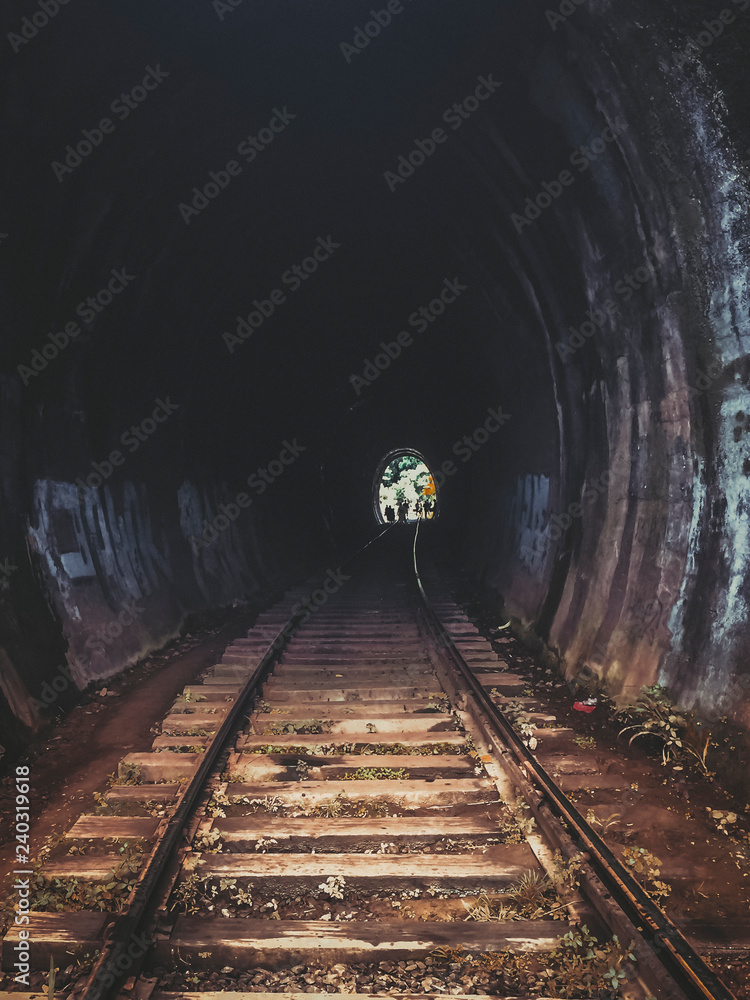 Fototapeta premium NINE ARCH BRIDGE IN ELLA, SRI LANKA