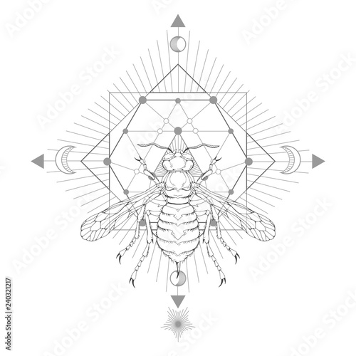 Vector illustration with hand drawn wasp and Sacred geometric symbol on white background. Abstract mystic sign.