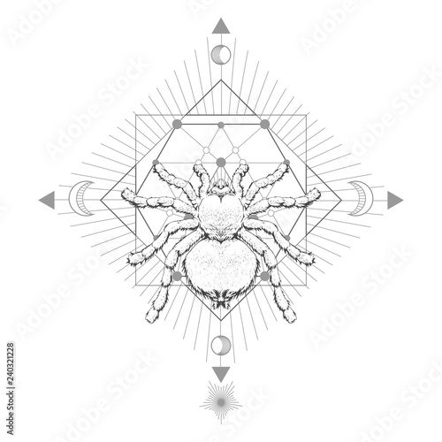 Vector illustration with hand drawn spider tarantula and Sacred geometric symbol on white background. Abstract mystic sign. 