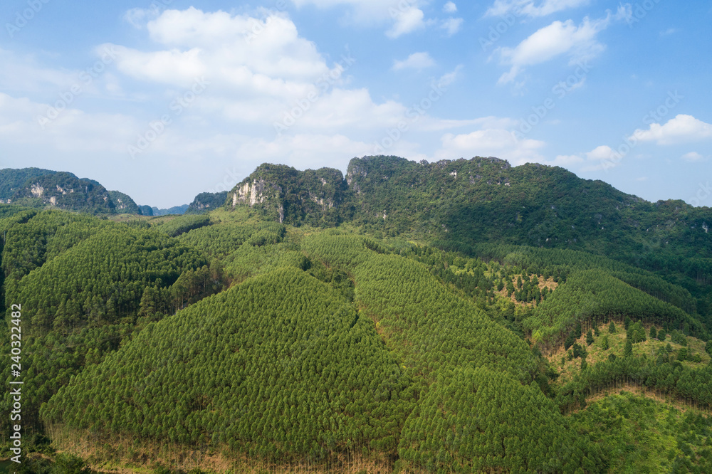 Obraz premium Aerial view of Karst mountains and woodland