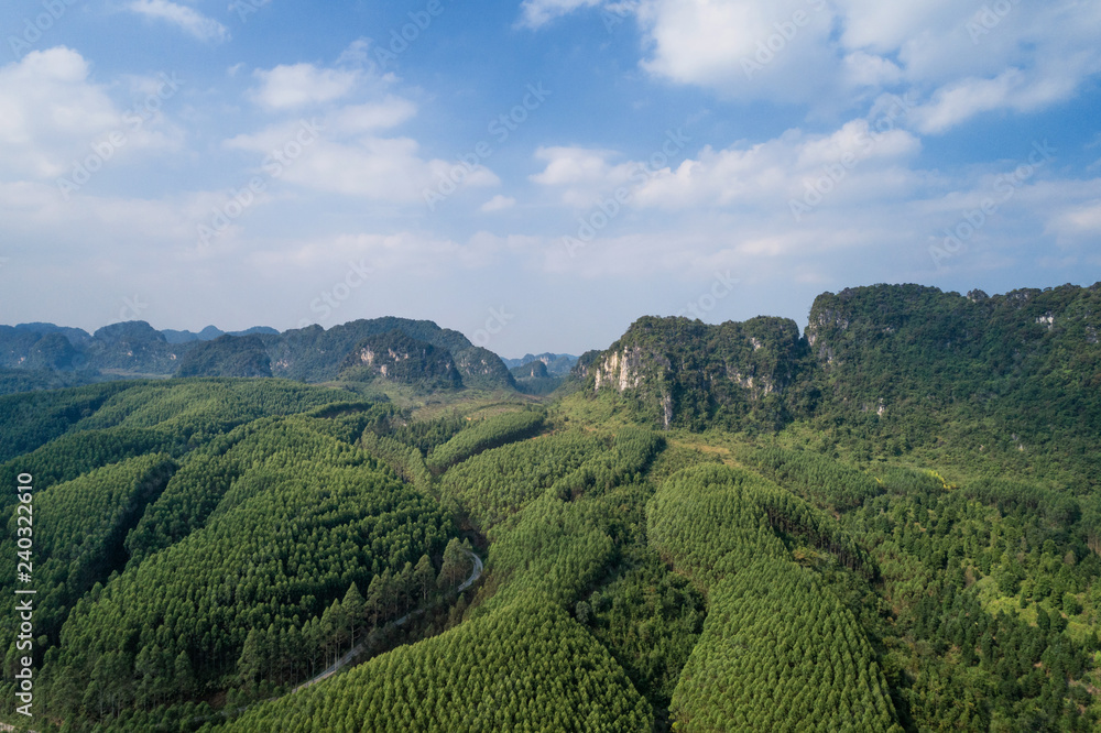 Obraz premium Aerial view of Karst mountains and woodland