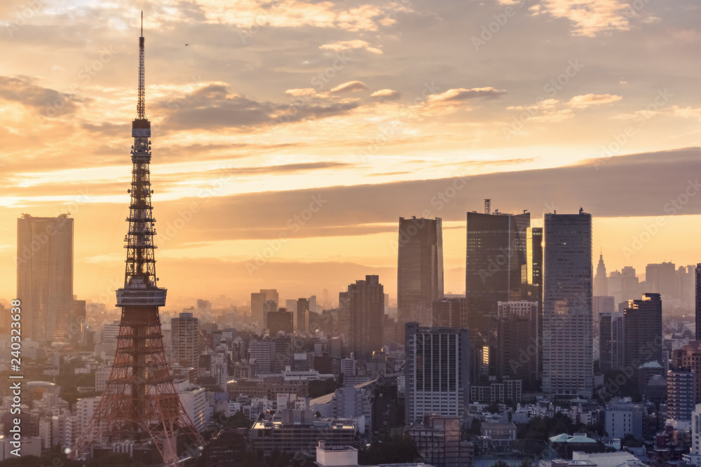 Tokyo at sunset with skyline view from observatory of World Trade Center building