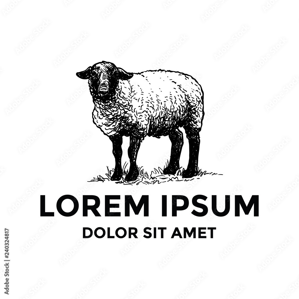 Fototapeta premium Szablon Logo ręcznie rysowane owiec