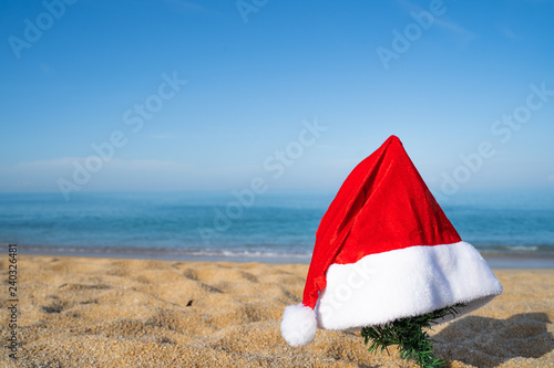Christmas Santa hat on the beach and tree. are texture Nature background creative tropical layout made at phuket Thailand