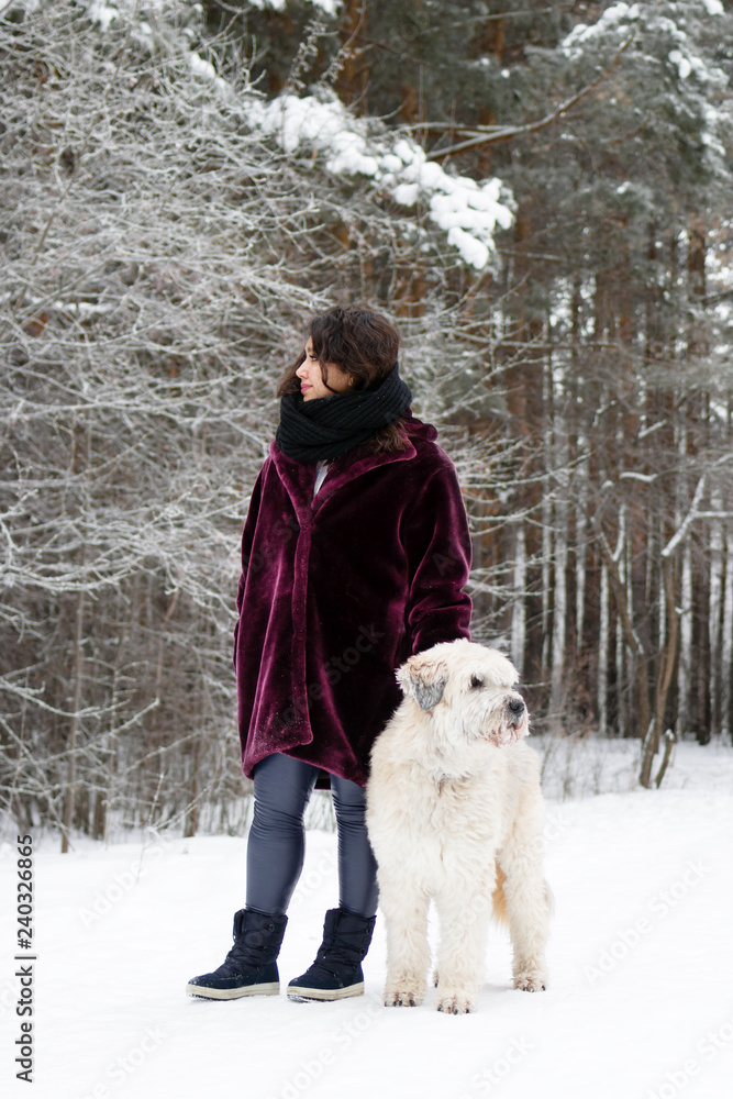 Beautiful young woman with her South Russian Shepherd Dog on a background of winter forest. Beautiful young woman with her South Russian Shepherd Dog on a background of winter forest.