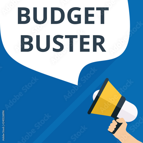 text writing Budget Buster.