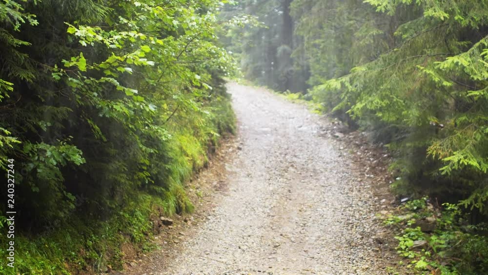 Heavy Rain on Unpaved Road in Carpathian Mountains, with Sound Heavy Rain on Unpaved Road in Carpathian Mountains, with Sound
