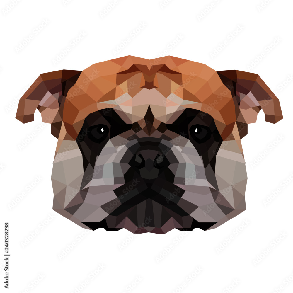 English Bulldog | Low Poly Art Stock Vector | Adobe Stock