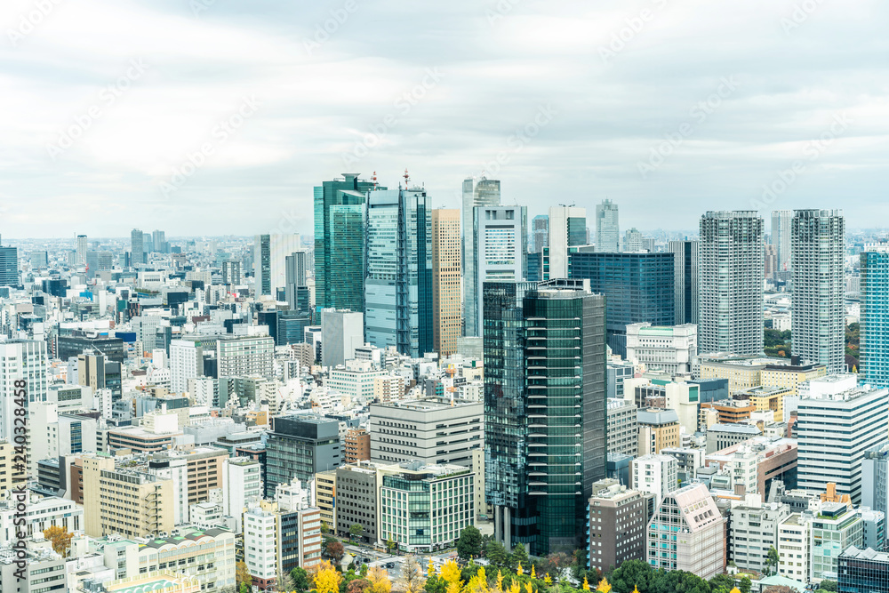 Naklejka premium urban city skyline aerial view in Tokyo, Japan