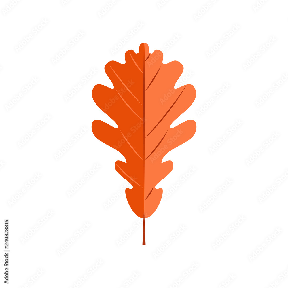 Oak autumn leaf isolated on white background. Vector illustration Oak autumn leaf isolated on white background. Vector illustration