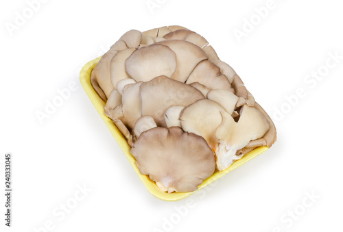 Cultivated raw oyster mushrooms on the foam food tray