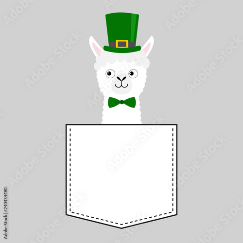 Llama alpaca face head in the pocket. Green hat Patrick day. Cute cartoon animals. Kawaii character. Dash line. White and black color. T-shirt design. Baby gray background. Isolated. Flat design.