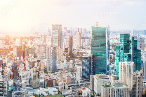 urban city skyline aerial view in Tokyo  Japan