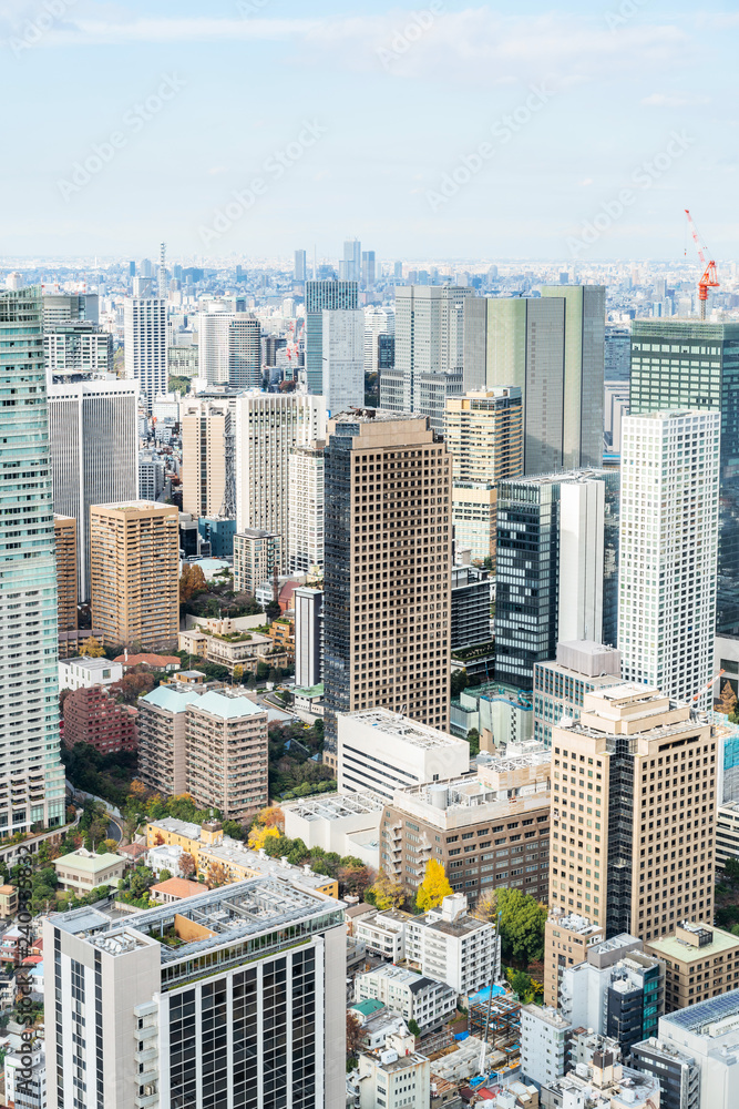 Fototapeta premium widok z lotu ptaka miejskich panoramę miasta w Tokio, Japonia