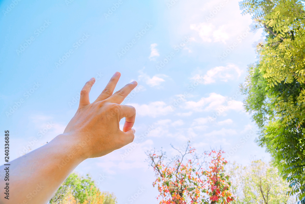 Human hand with blue skies sign of approval, Man's hand against the blue sky, sign of approval, thumb up.