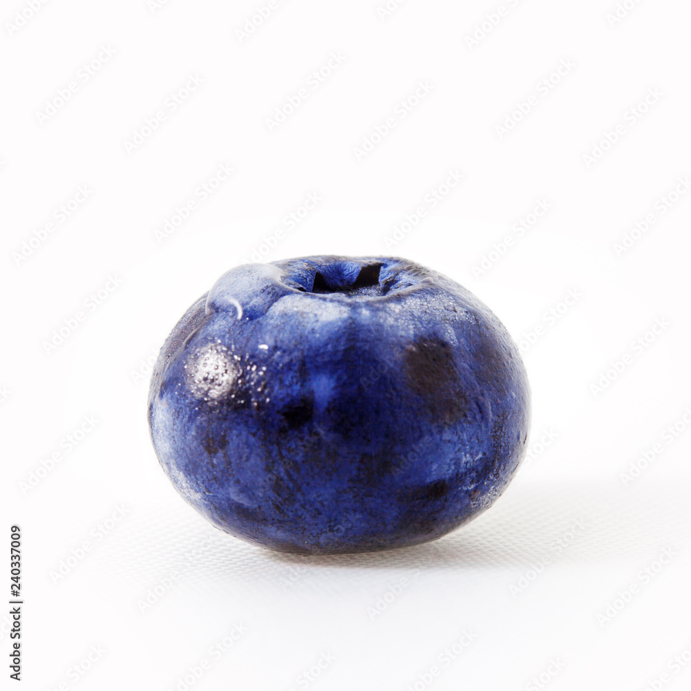 Obraz premium Fresh blueberry isolated on white. One big blueberry berry close-up
