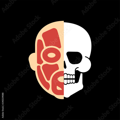 Skull and Muscular face anatomy. Bones and muscles system human head. Skeletal muscle system.