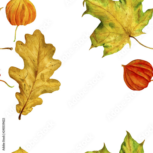 Seamless pattern with autumn leaves on a white background. Watercolour illustrations hand painted.