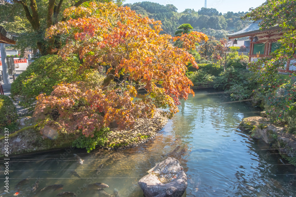 Colorful tree in Garden at Yutoku Inari Shrine, Kashima City, famous ...