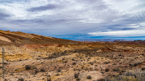 Southwest Desertscape