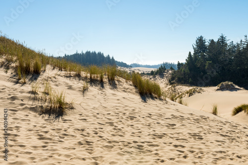 A sand hill from a high point of view over the Oregon dunes