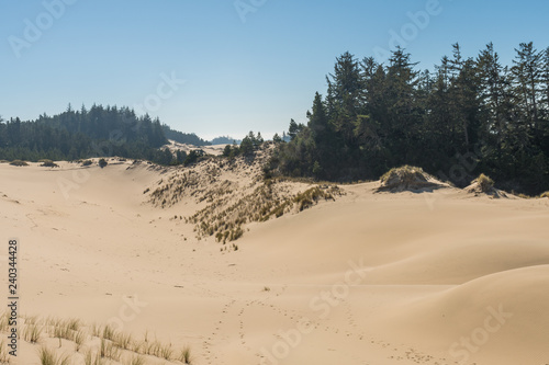 A sand hill from a high point of view over the Oregon dunes