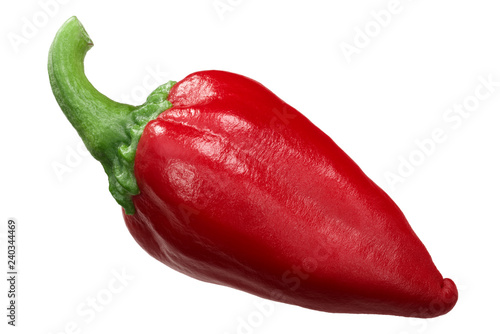 Gorria red chili pepper, paths photo