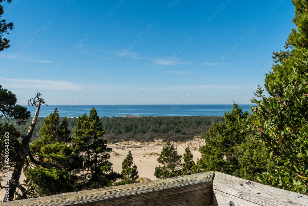 The sand and coastline from a high point of view over the Oregon dunes