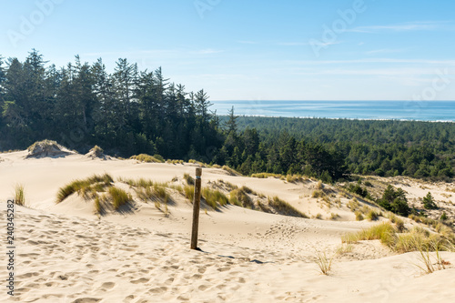 Fototapeta Naklejka Na Ścianę i Meble -  The sand and coastline from a high point of view over the Oregon dunes