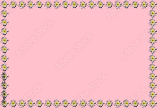 Frame of chrysanthemum flowers on pink background