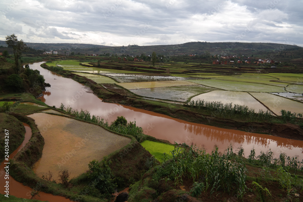 Landscape with the rice fields and Onive river at Antanifotsy,Madagascar
