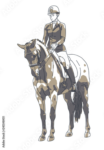 Vector illustration of the rider and the horse stand still.