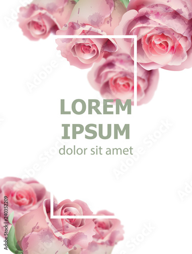 Light pink roses watercolor card Vector. Invitation card, wedding ceremony, d...
