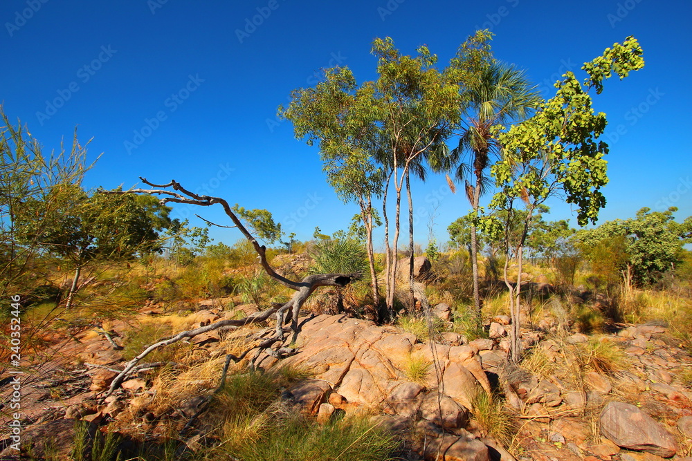 Australian outback wilderness