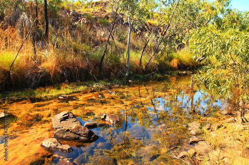 Secret water stream in Australian outback
