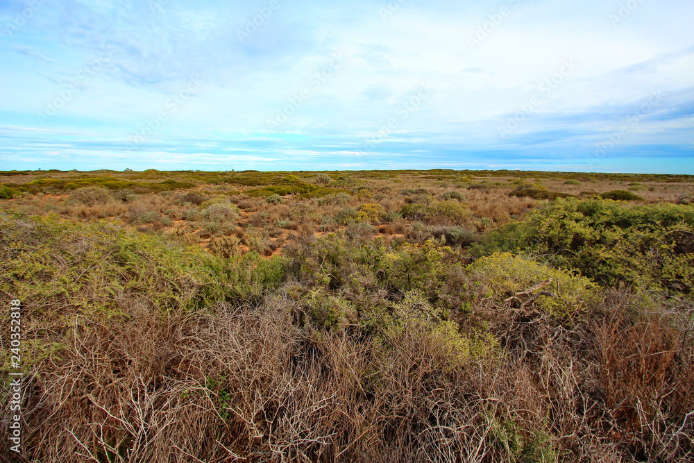 Vast flat outback in Australia