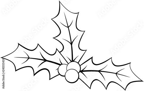 Christmas holly outline
