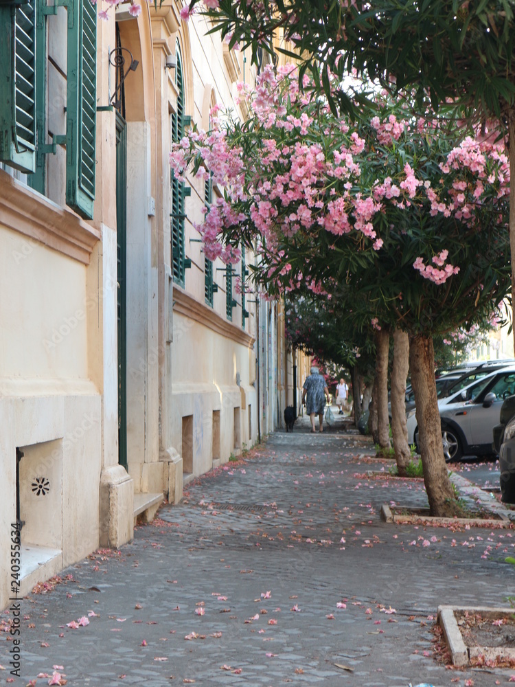 Obraz premium Chodnik Rzym