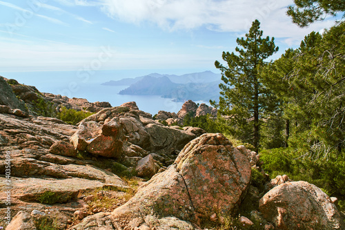 Interesting rock shapes with pine forest and view of the sea in Corsica