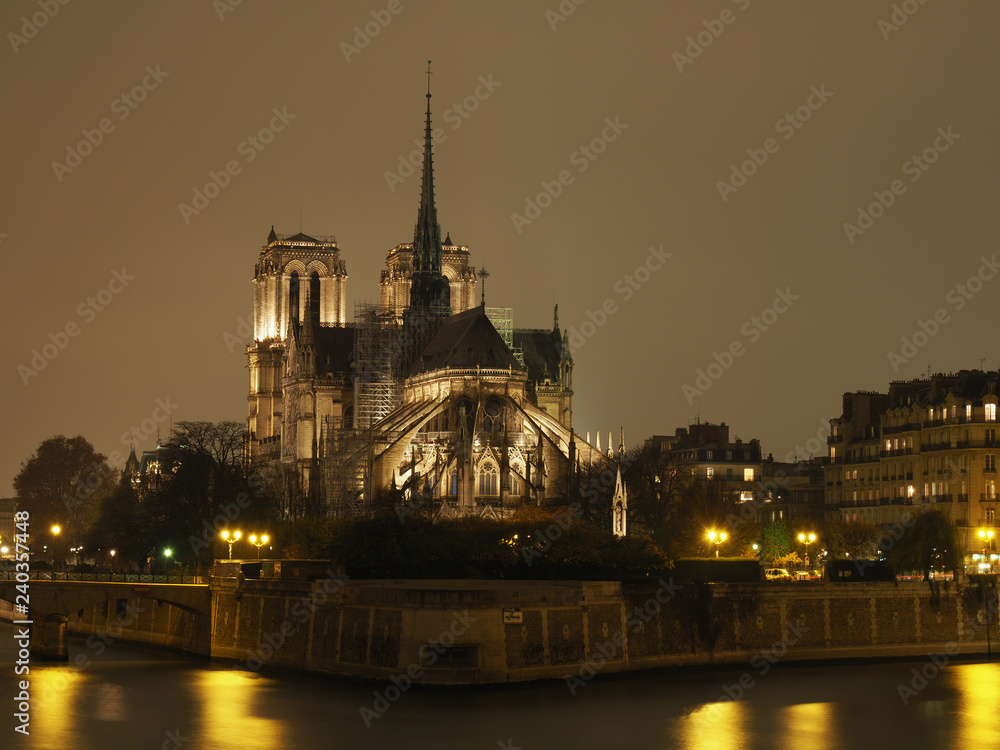 Naklejka premium Cathedral Notre Dame de Paris