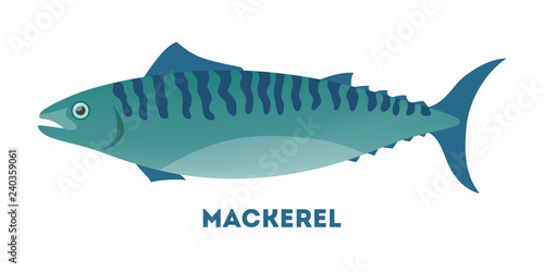 Mackerel fish from the ocean or sea.