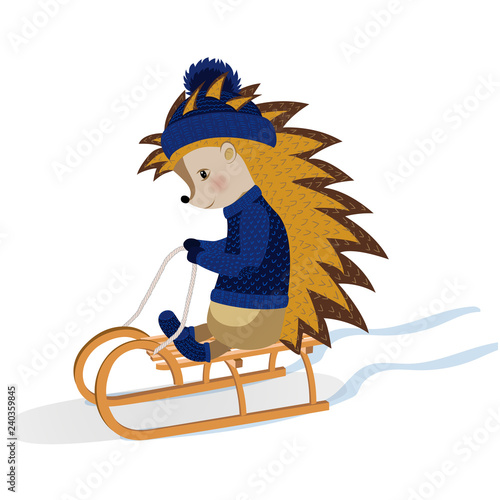Hedgehog on sledge. Vector illustration. Isolated on a white background.