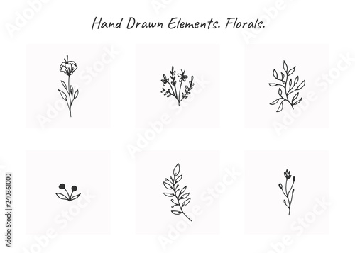 Vector set of floral hand drawn elements in elegant and minimal style.