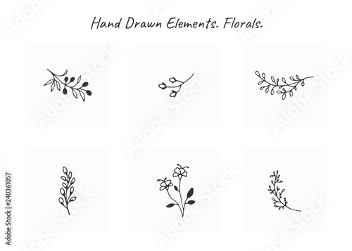 Vector set of floral hand drawn elements in elegant and minimal style.