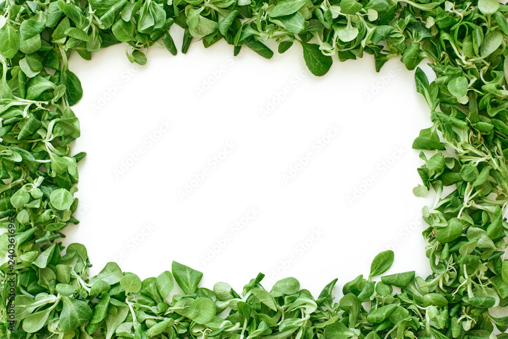 Green square from spinach leaves, isolated. Love healthy food Green square from spinach leaves, isolated. Love healthy food