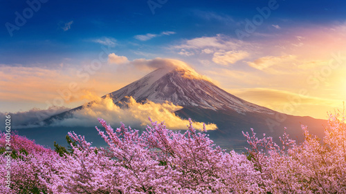 Fotografia Fuji mountain and cherry blossoms in spring, Japan.