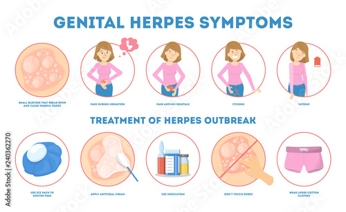 Genital herpes symptoms. Infectious dermatology disease illustration photo