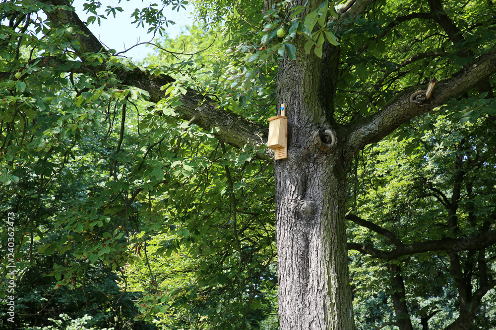A house for birds and bats in the park. A house for birds and bats in the park.