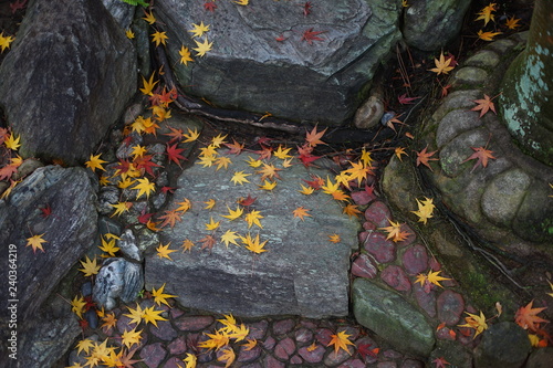 石畳に積もる紅葉の落ち葉
